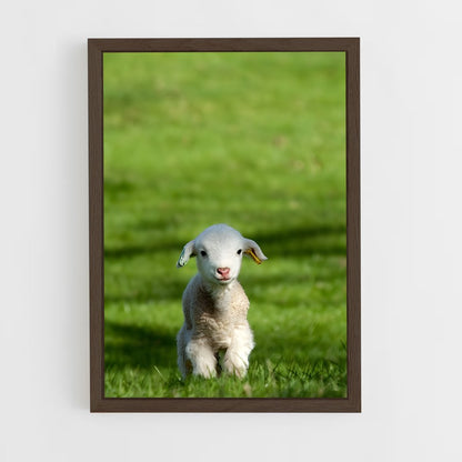 ap-lamb-19 cadre Bois foncé
