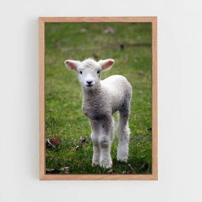 ap-lamb-20 cadre Bois clair