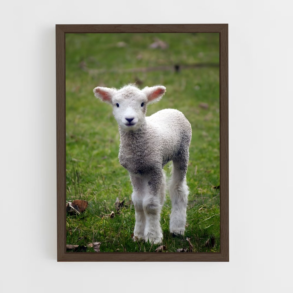 ap-lamb-20 cadre Bois foncé