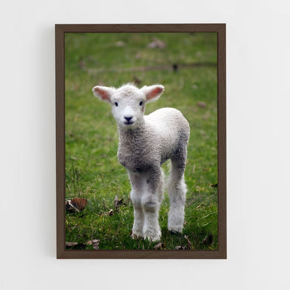 ap-lamb-20 cadre Bois foncé