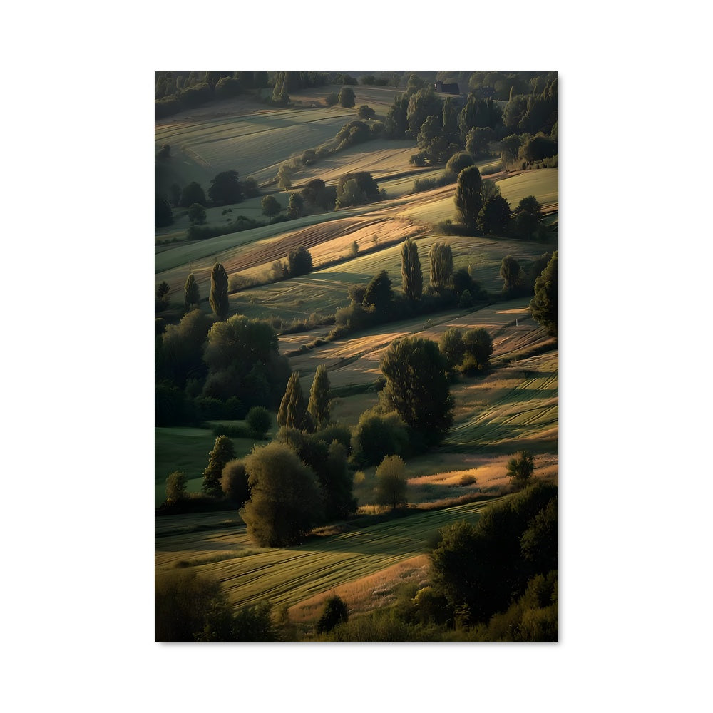 Poster Collines Enchantées