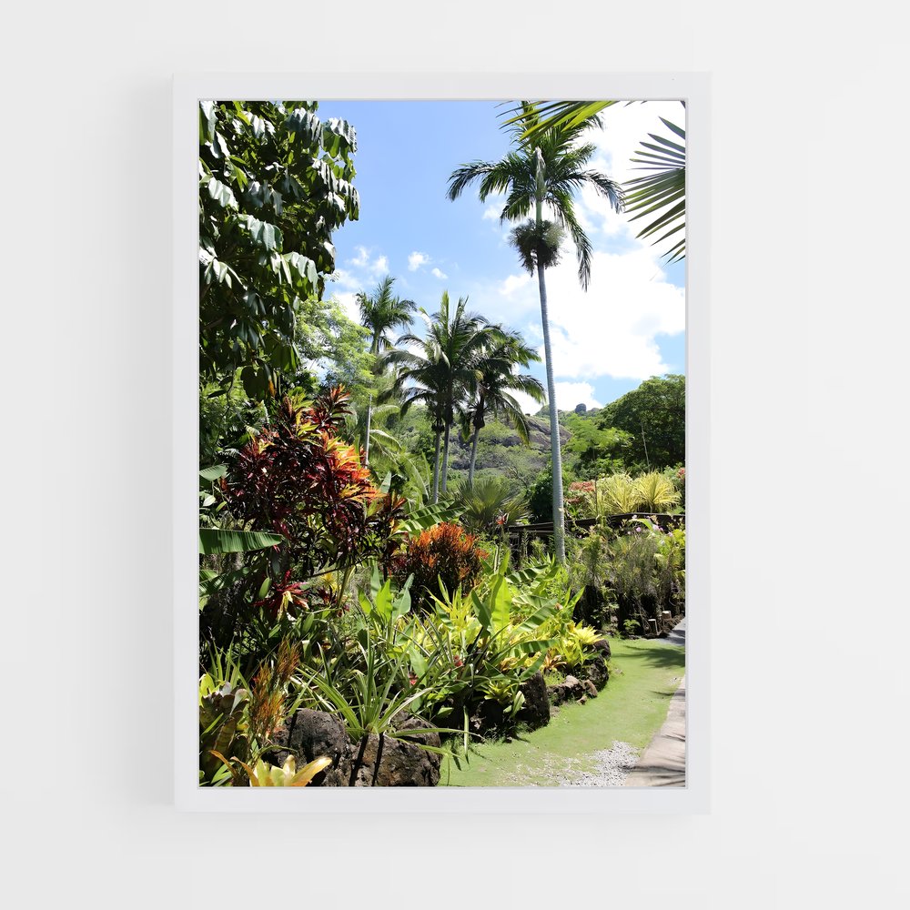 ap-lautoka-1 cadre Blanc