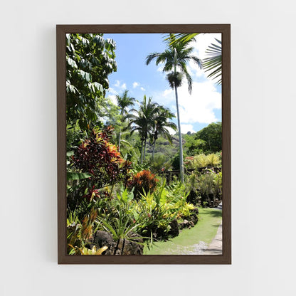 ap-lautoka-1 cadre Bois foncé
