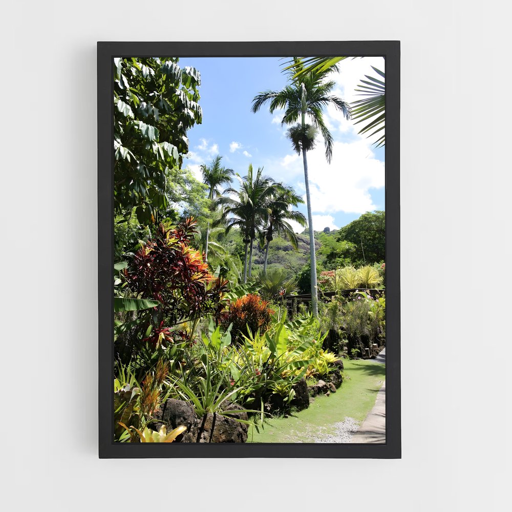 ap-lautoka-1 cadre Noir