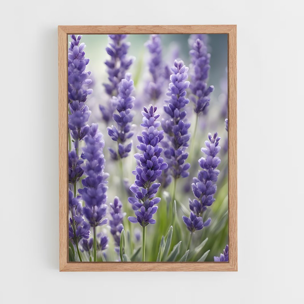 ap-lavender-1 cadre Bois clair