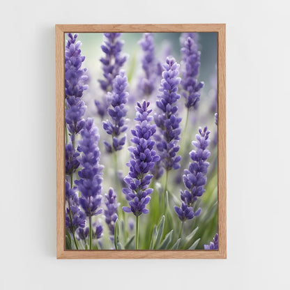 ap-lavender-1 cadre Bois clair