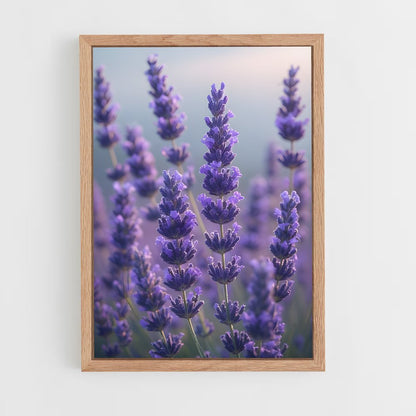 ap-lavender-10 cadre Bois clair