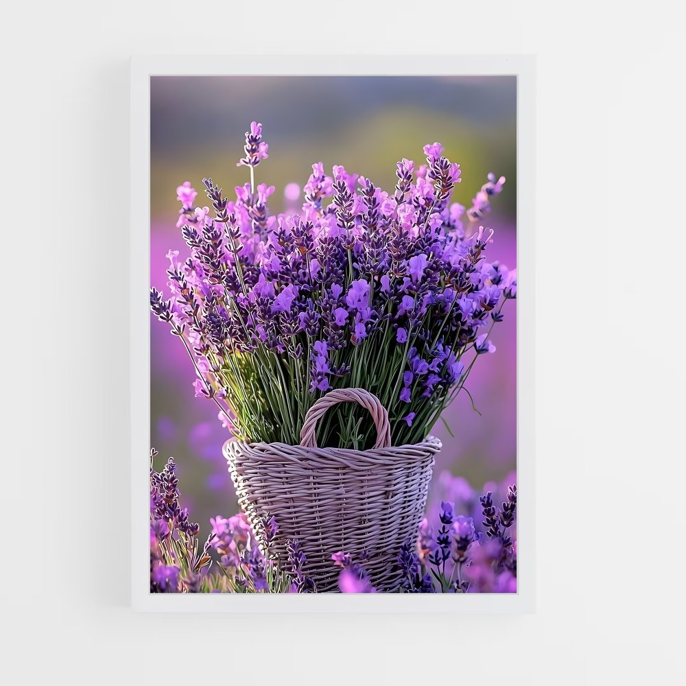 ap-lavender-11 cadre Blanc