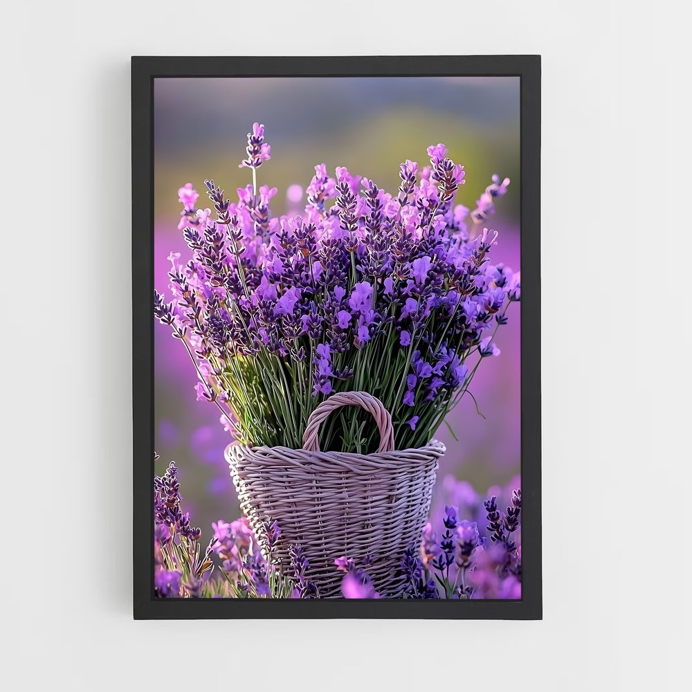 ap-lavender-11 cadre Noir