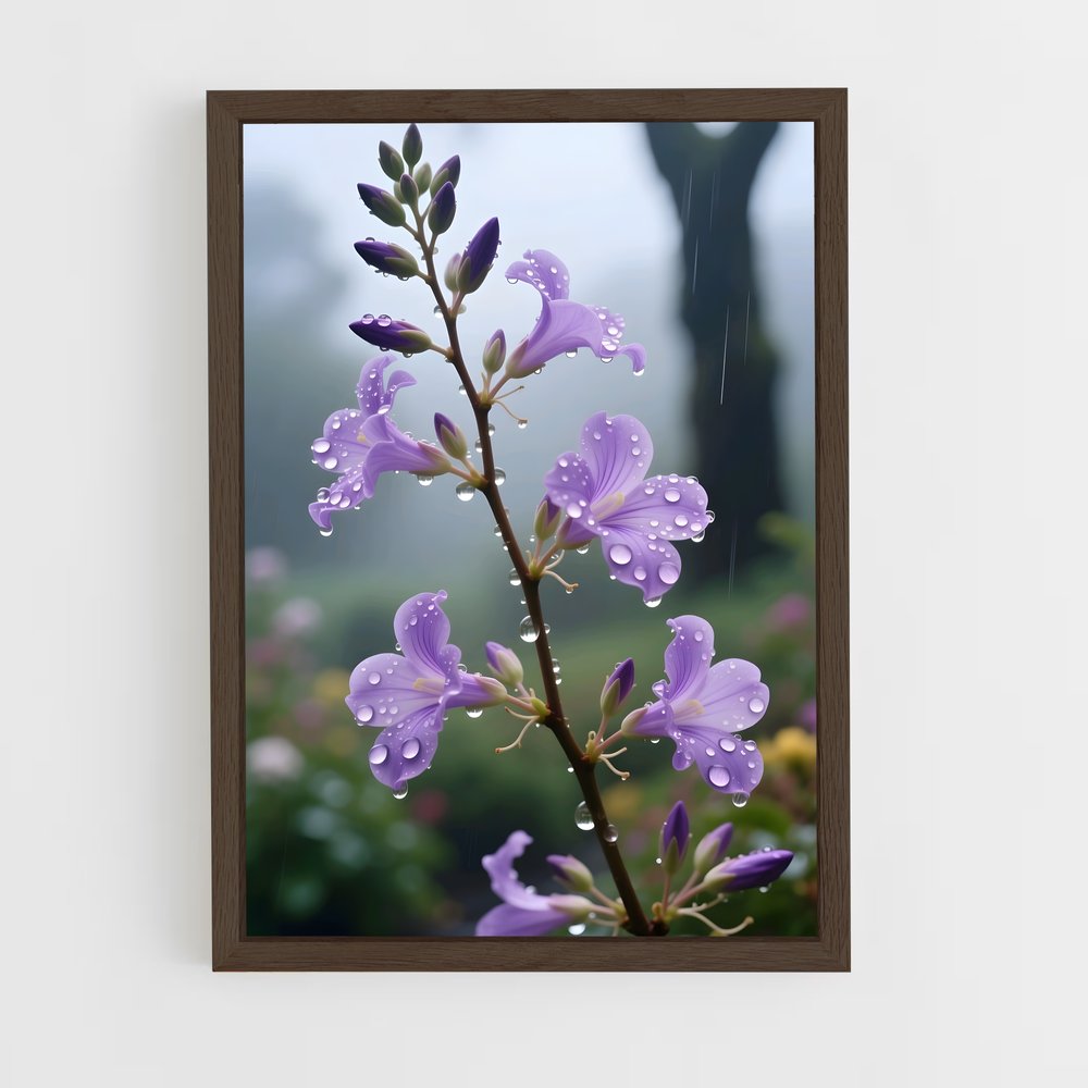 ap-lavender-13 cadre Bois foncé