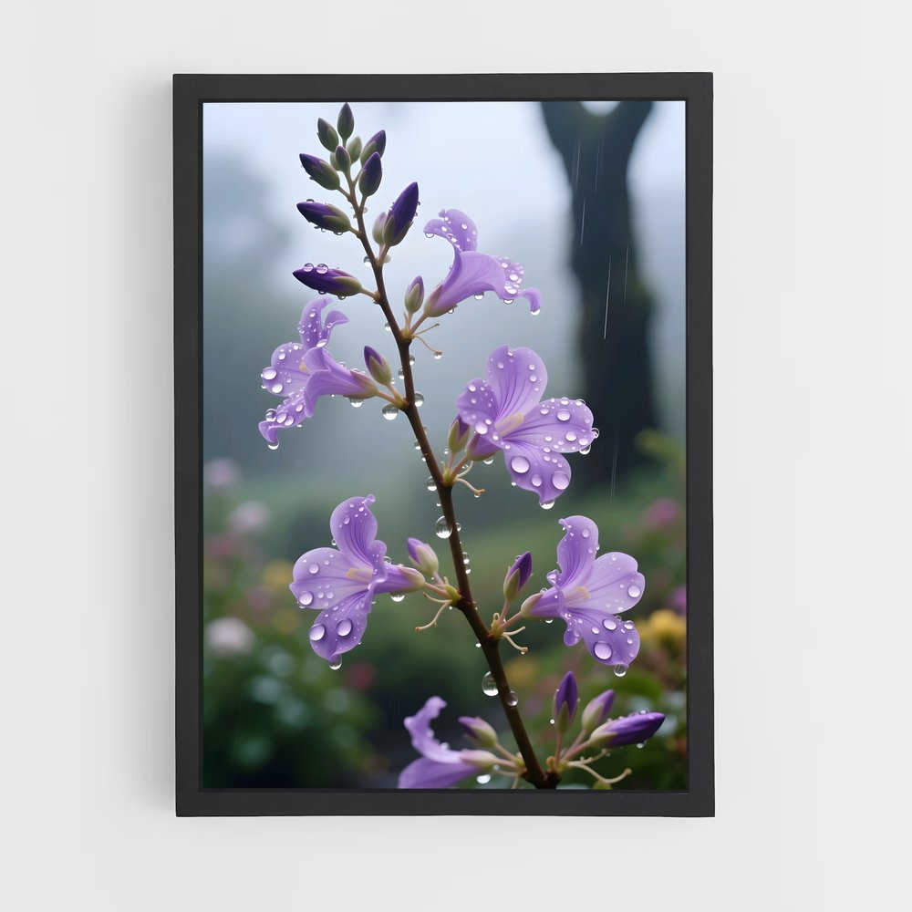 ap-lavender-13 cadre Noir