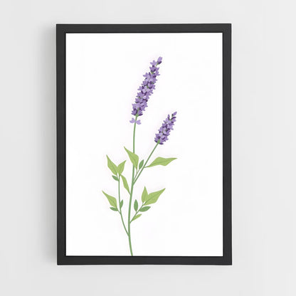 ap-lavender-14 cadre Noir