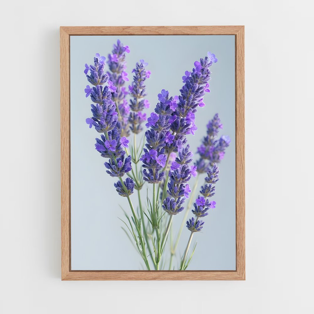 ap-lavender-15 cadre Bois clair