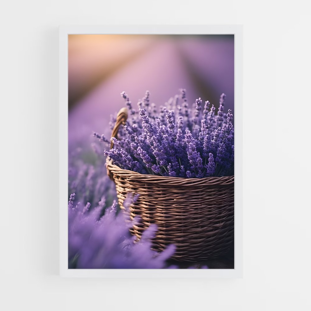 ap-lavender-16 cadre Blanc