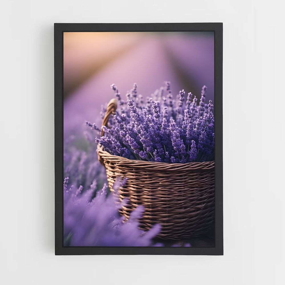 ap-lavender-16 cadre Noir