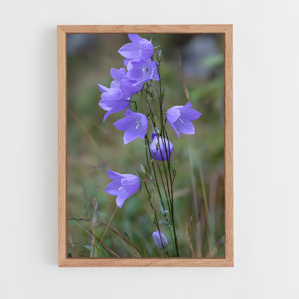 ap-lavender-17 cadre Bois clair