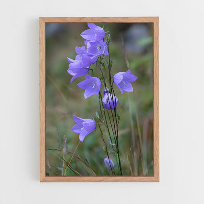 ap-lavender-17 cadre Bois clair