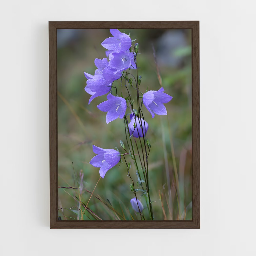 ap-lavender-17 cadre Bois foncé