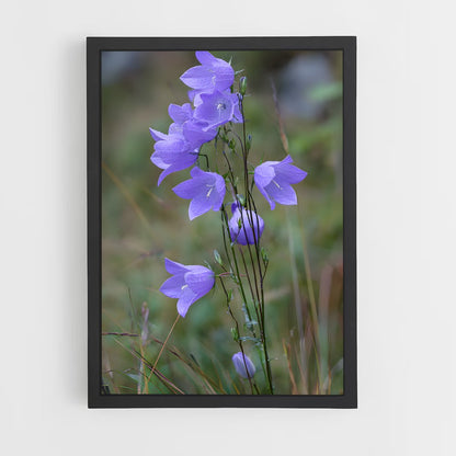 ap-lavender-17 cadre Noir