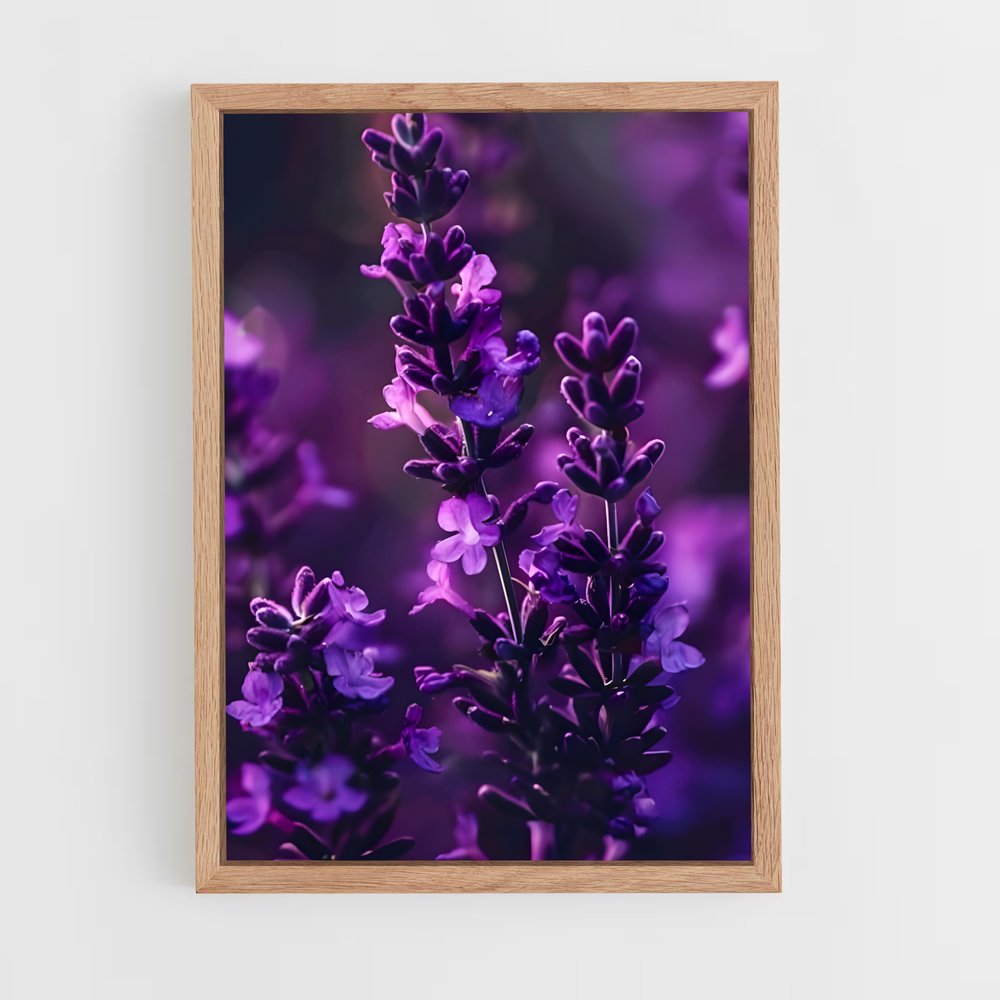 ap-lavender-4 cadre Bois clair