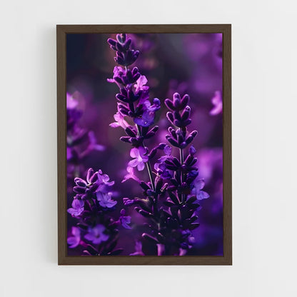 ap-lavender-4 cadre Bois foncé