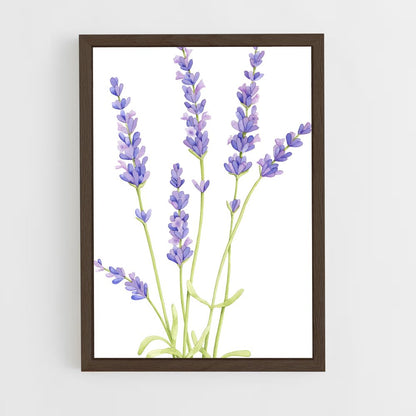 ap-lavender-7 cadre Bois foncé