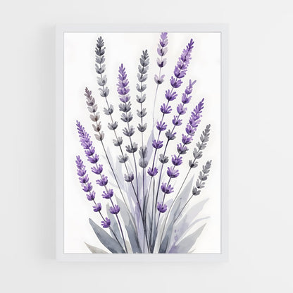 ap-lavender-8 cadre Blanc