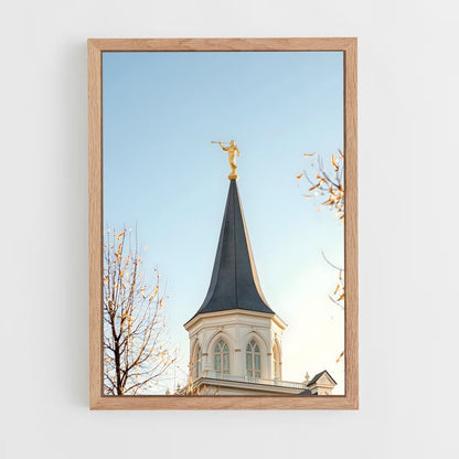 ap-lds temple-2 cadre Bois clair