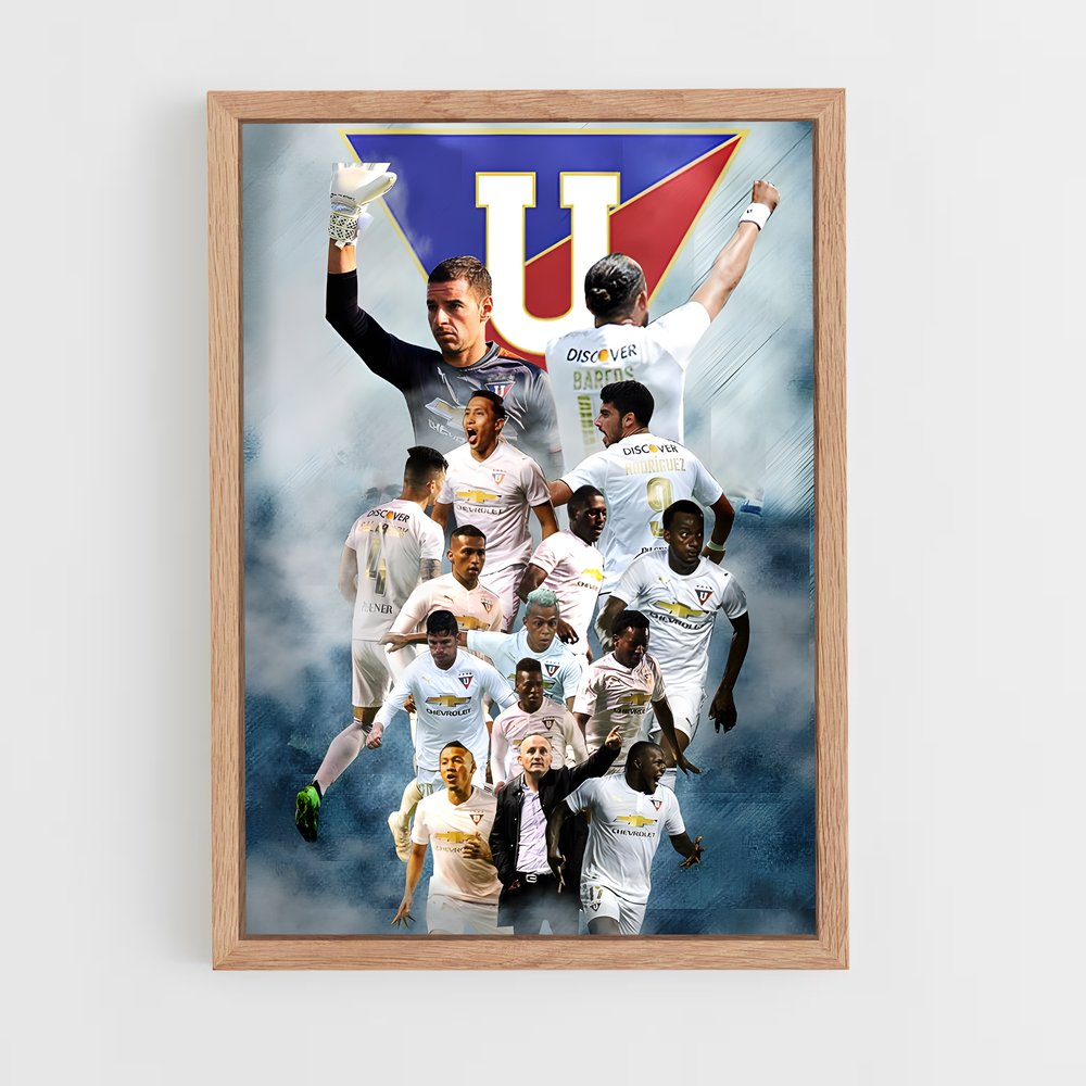 ap-ldu quito-3 cadre Bois clair