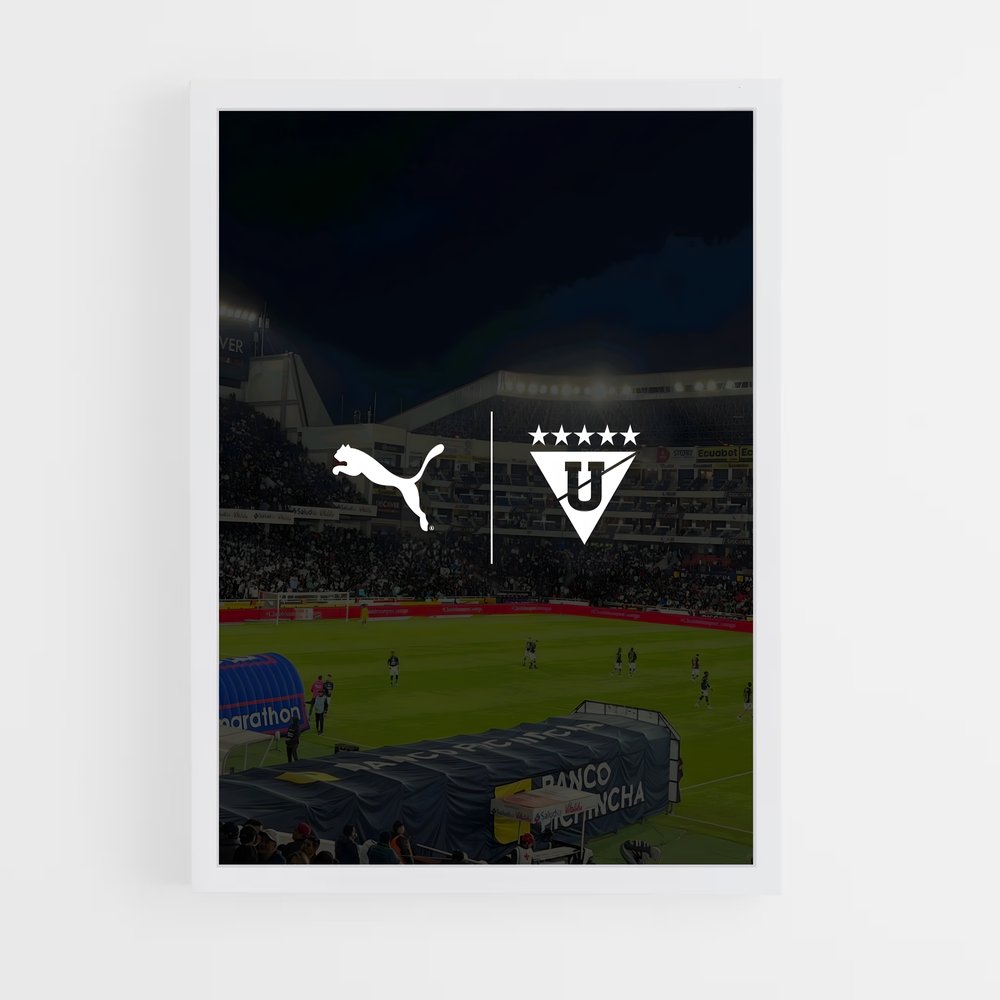 ap-ldu quito-5 cadre Blanc