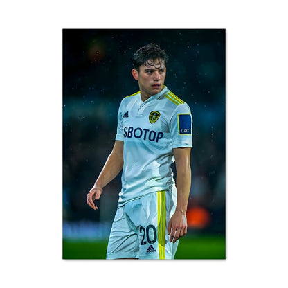 Poster Envol de Leeds