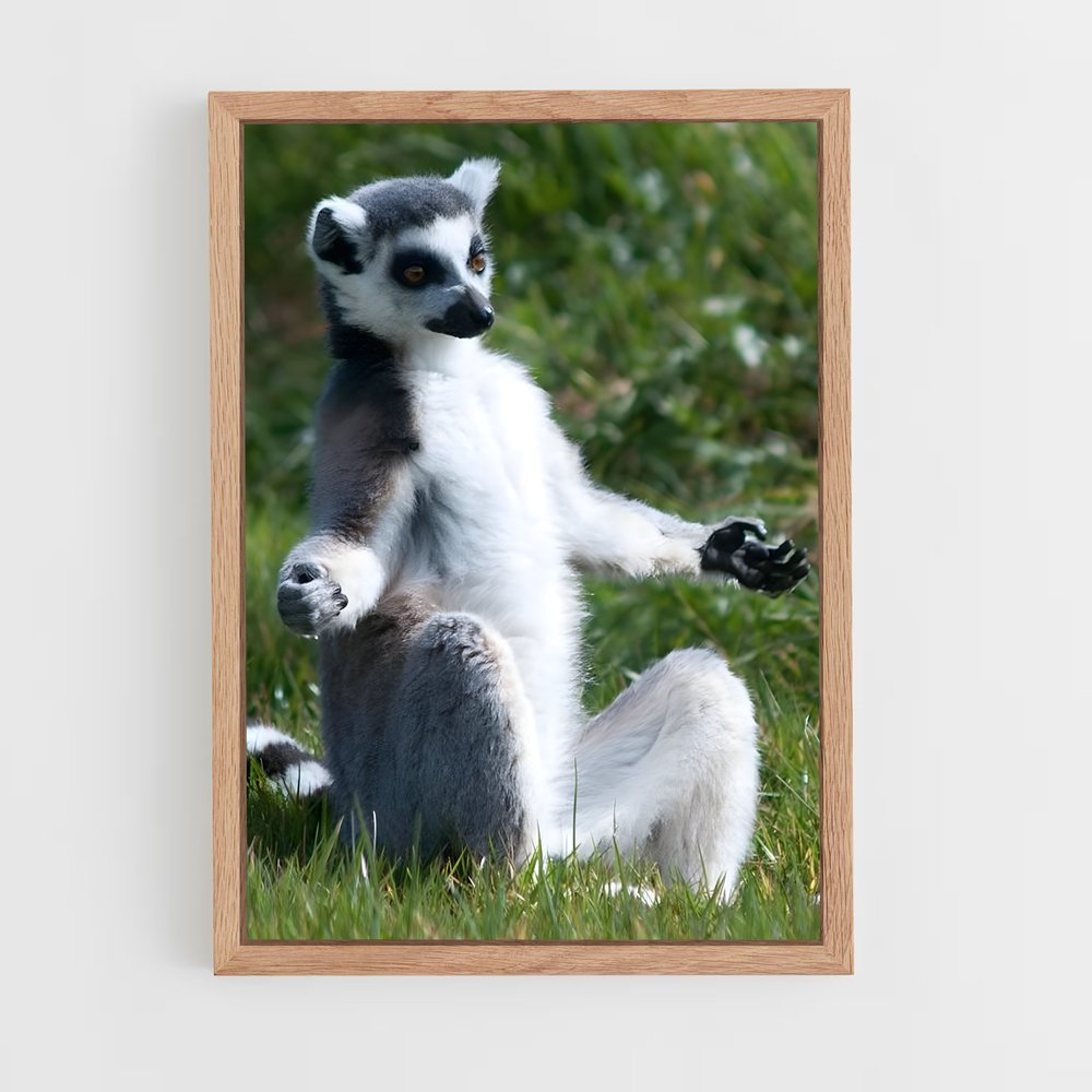 ap-lemur-8 cadre Bois clair