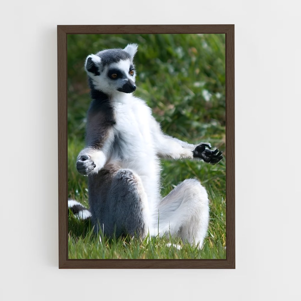 ap-lemur-8 cadre Bois foncé