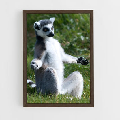 ap-lemur-8 cadre Bois foncé