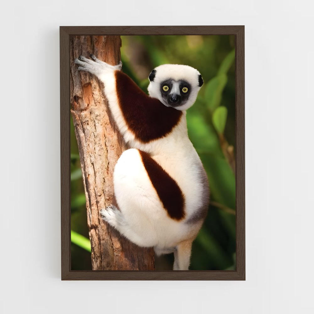 ap-lemur-9 cadre Bois foncé
