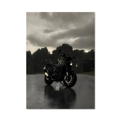 Poster Leoncino 500 81850