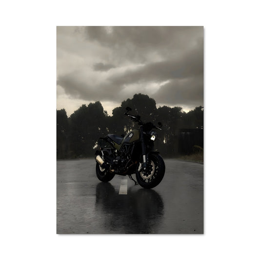 Poster Leoncino 500 81850