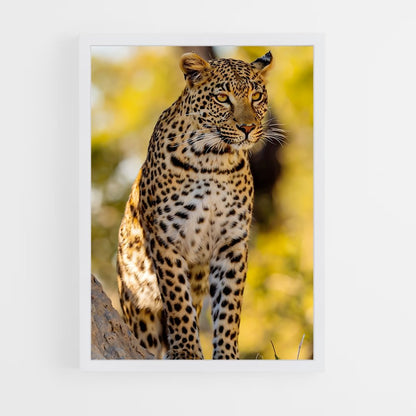 ap-leopard-1 cadre Blanc
