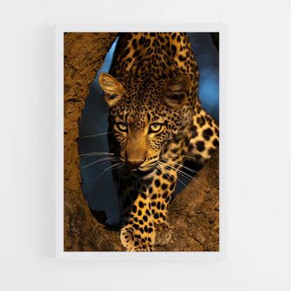 ap-leopard-2 cadre Blanc