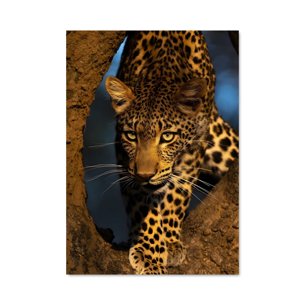 Majestic Leopard Poster – Aesthetic Posters