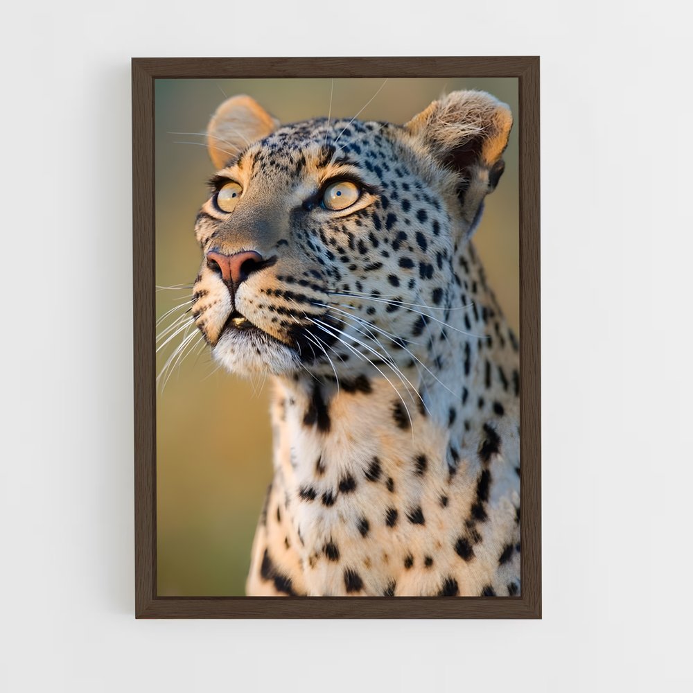 ap-leopard-3 cadre Bois foncé