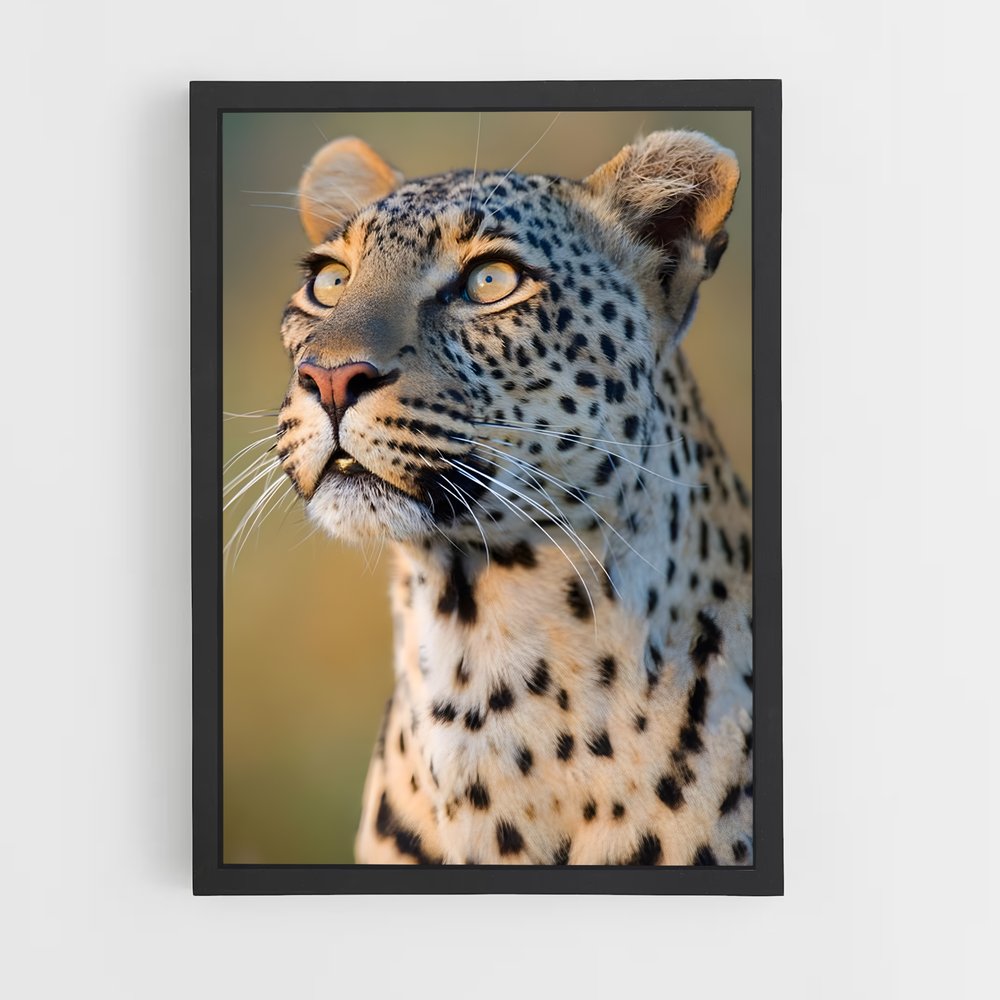 ap-leopard-3 cadre Noir