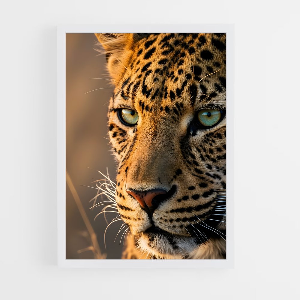 ap-leopard-4 cadre Blanc