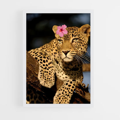 ap-leopard-6 cadre Blanc