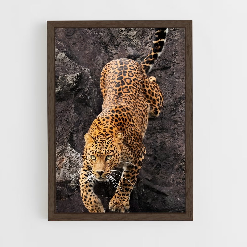 ap-leopard-8 cadre Bois foncé