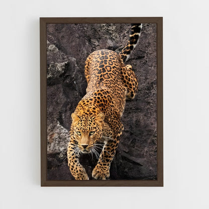 ap-leopard-8 cadre Bois foncé