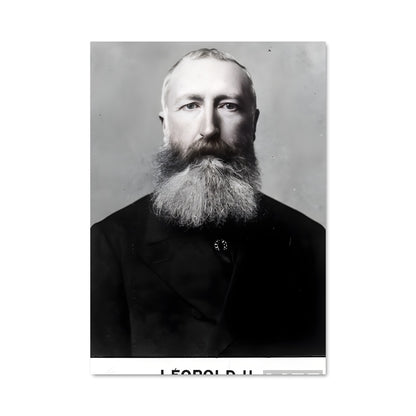 Poster Barbe de l'Histoire