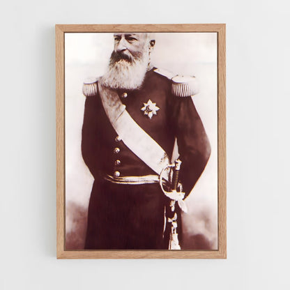 ap-leopold ii-10 cadre Bois clair