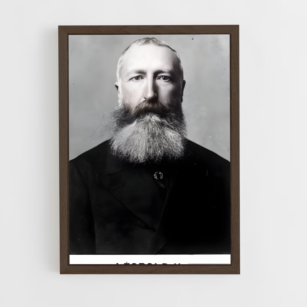 ap-leopold ii-5 cadre Bois foncé