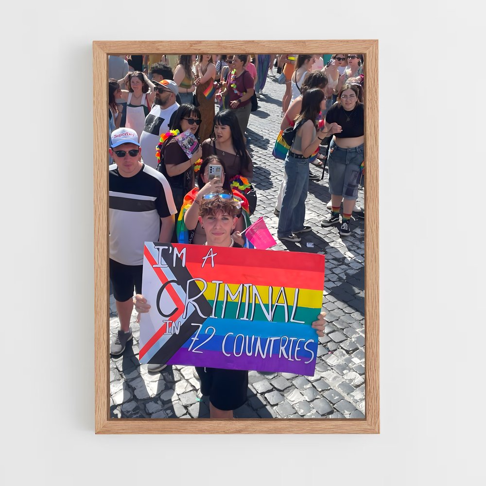ap-lgbt movement-1 cadre Bois clair